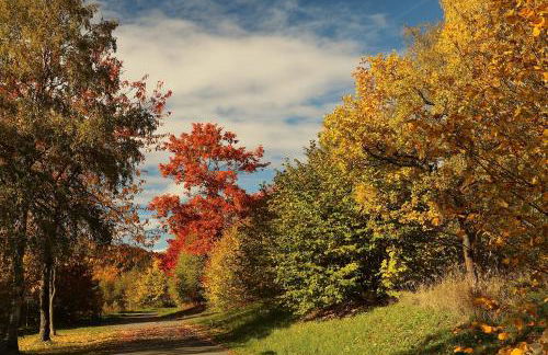 Ferienwohnung Hankeln - Foto 54