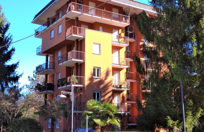 Pettirosso - Photo 25