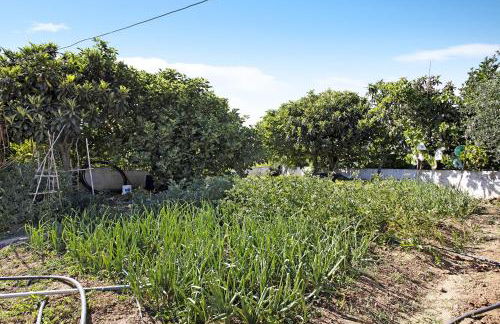 Vivenda Ribeiro - B - Foto 18