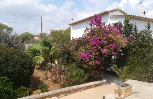 Apartamentos Villa Primera - Foto 38