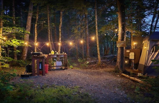 Schlafmans Hollow Solar Cabins - Photo 12