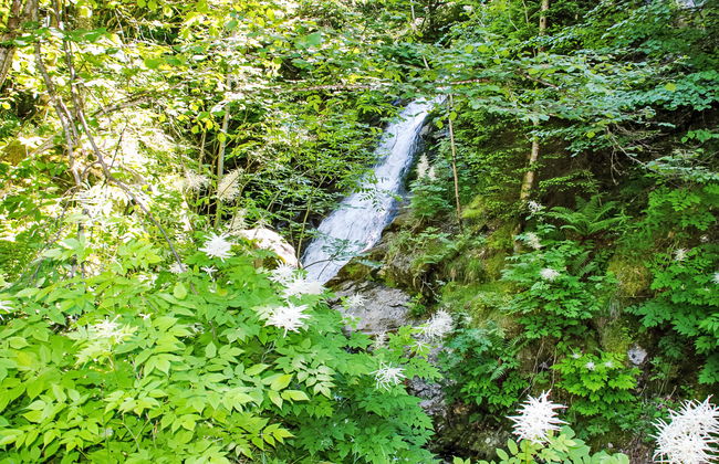 Rustico L'Hibou - Foto 20