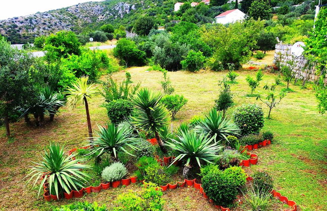 Apartments Lina - Foto 32