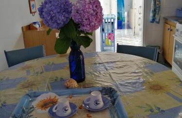 Azzurro Felix - Foto 11