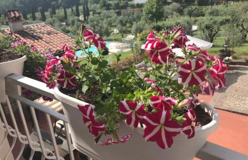 Il Ghetto Farm Holiday - Foto 44