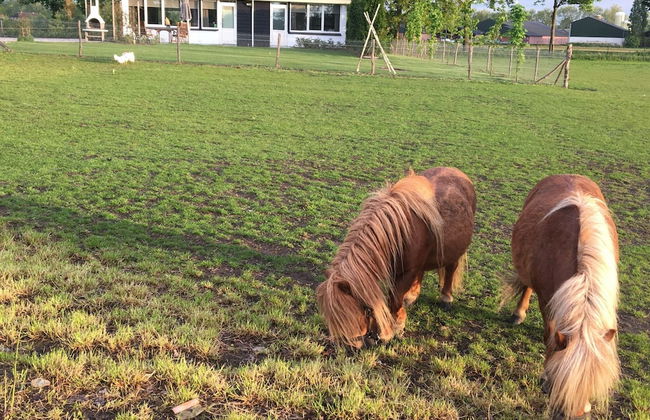 Cozy Holiday Home in Nistelrode With Garden - Photo 75