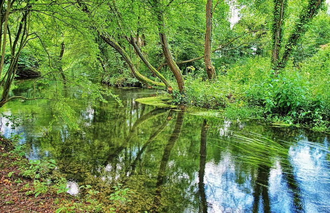 Charming 2-bed Apartment in Eastleigh - Foto 26