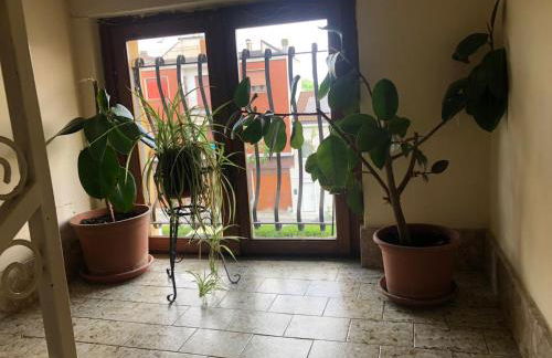 Casa dei Nonni - Foto 3