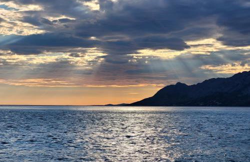 Luxury Apartments Villa Opera - Foto 18