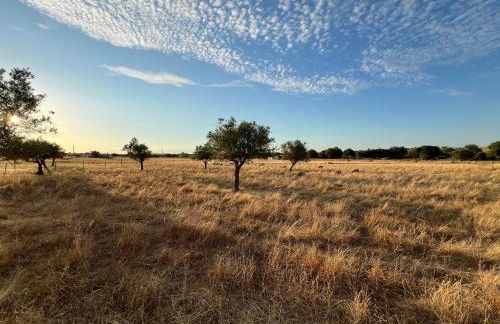 Casas SaoMiguel33 - Foto 29