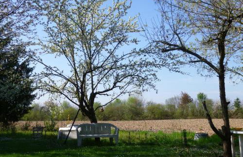 Jardin Fleuri - Foto 17