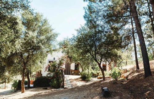 Peaceful villa in Monesterio with private pool - Foto 29