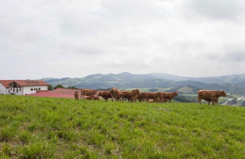 Endaneta Berri - Photo 45