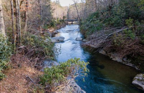 Pisgah Private Retreat Family Getaway with Hot Tub - Foto 40