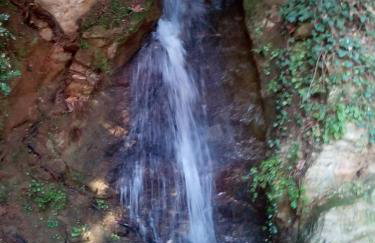 ForestRock Studio FOR SALE TOO - Foto 29