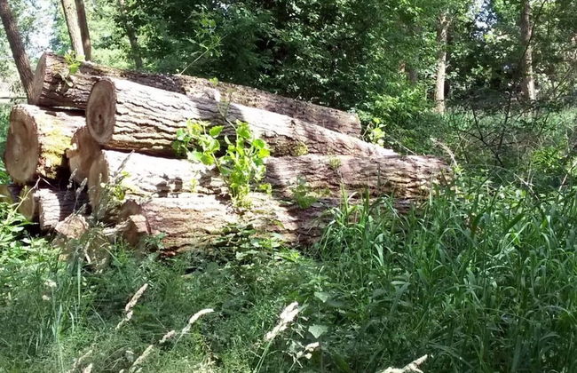 Holiday House House on Muhlfeldsee - Foto 35