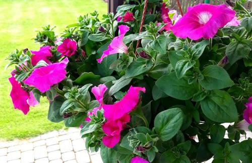 Zielone Zacisze - Foto 19