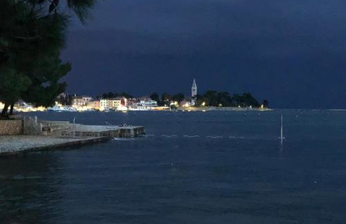 App Sorgo - Photo 58