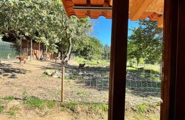 Associação Quinta das Relvas - Foto 47