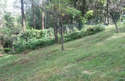 Casa Ronit - Foto 27