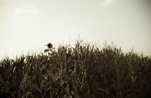 Casa Bassetto - Photo 27