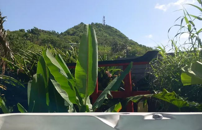 Piton Bungalows Ecolodges - Foto 44