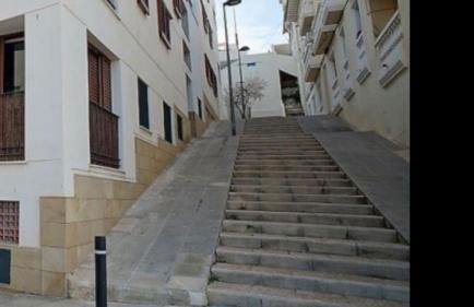 Salamandra - Photo 45