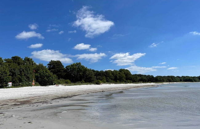 4 Star Holiday Home in Solvesborg - Photo 32