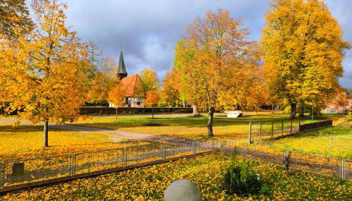 FeWo Elbtalaue II - Foto 1