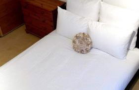 Thistle 2.0b - Foto 16