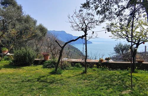 Amalfi Coast, Positano, Sorrento, Capri, Garden, Villa Carcara - Foto 14