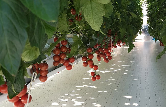 Locanda Colle Cerqueto - Photo 27