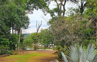 Casa Amazonika Tarumã - Foto 8