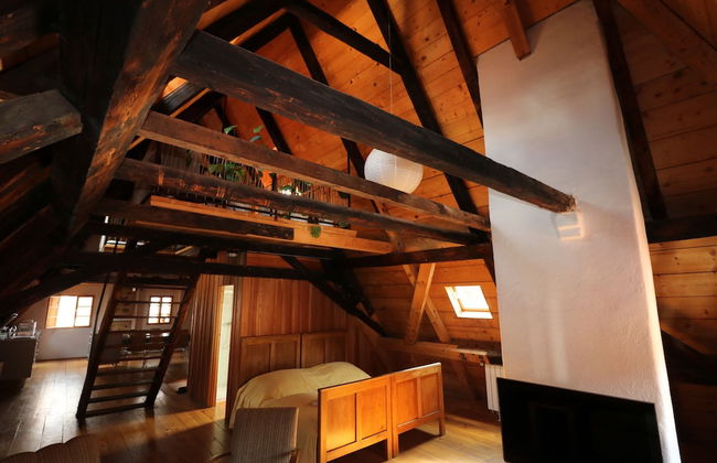 Apartment Soukenická 44 - Foto 21