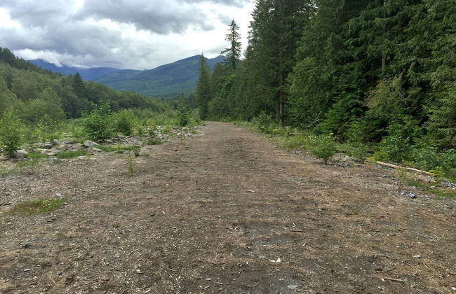 21GS - Log Cabin - Pets Ok - Sleeps 6 - Foto 17