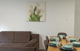 Apartament Zdrojowy II - Foto 7