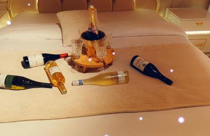 Maison 8 pièces Spa jacuzzi Paris Airport CDG jardin arboré clos - Foto 16