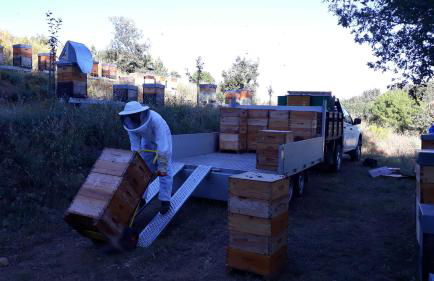 Apimonte Casa do Serra - PN Montesinho - Foto 73