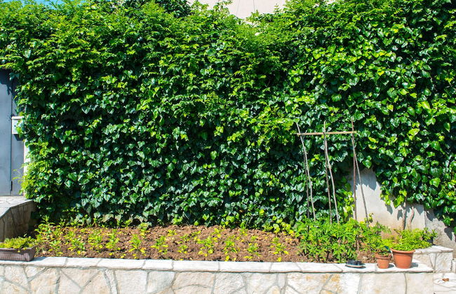 Villa Idila - Foto 26