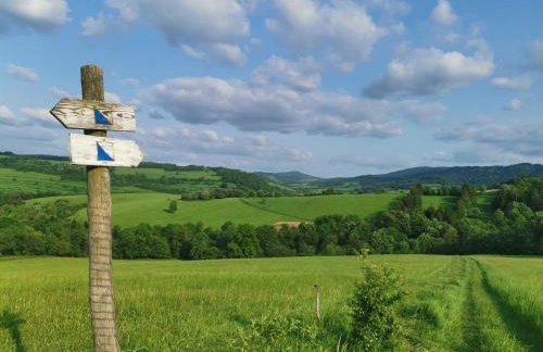 Domek w Bieszczadach Mchawa 144 - Foto 18