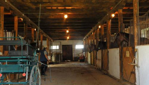 Dwor Trzesniow - Foto 2