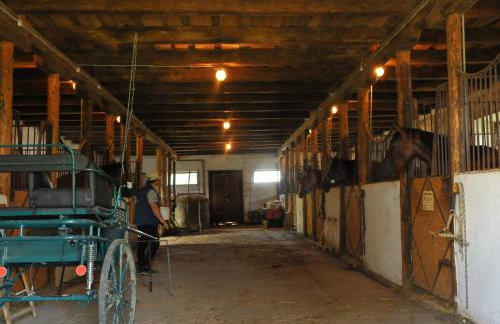 Dwor Trzesniow - Foto 2