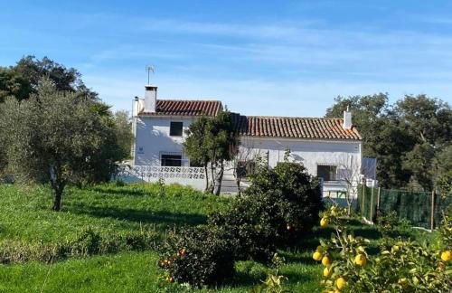 VIVIENDA RURAL LOS OJALVOS - Foto 1