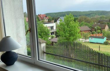 Willa Wicko - Międzyzdroje - apartamenty z aneksem - widok na Zalew Szczeciński - Foto 39