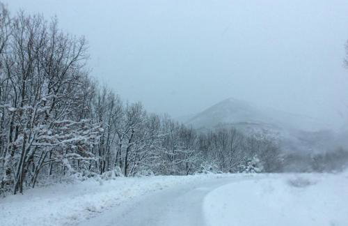 Petrini Gonia - Foto 45