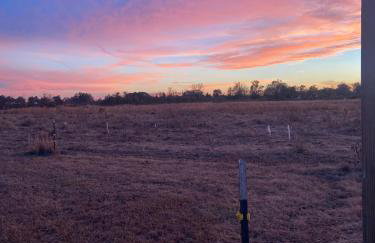 Serene Stay in North Carolina!! - Foto 41