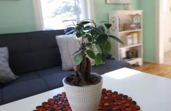 Little House by the Brook - Foto 14