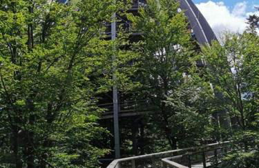 Ferienland Sonnenwald Studio 50 - Foto 21