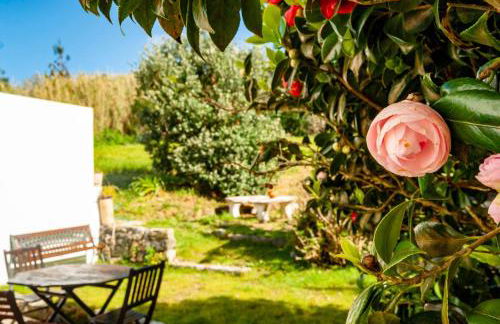 Candelária House - Photo 40