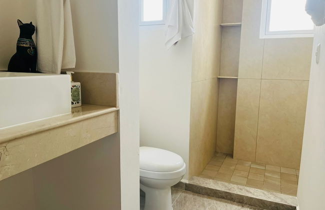 La Diosa Condos penthouse w plunge pool - Foto 7